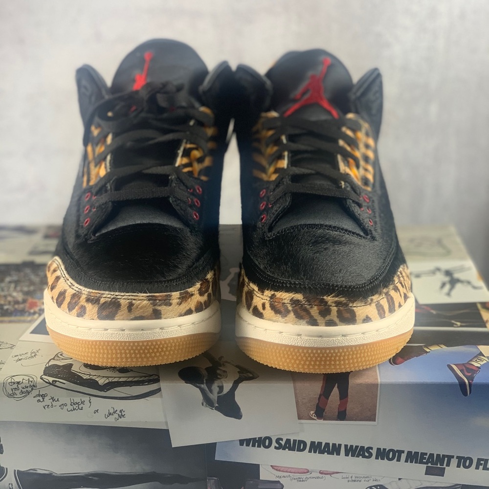 New In Box: Air Jordan 3 Retro SE Animal Instinct
